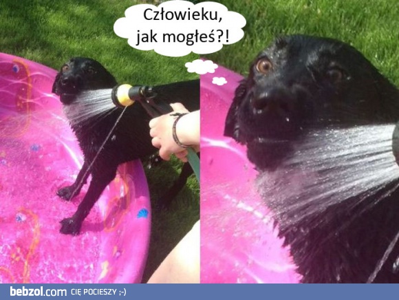 Człowieku, ale jak to?!