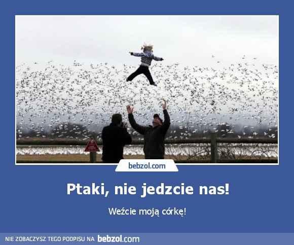 Ptaki, nie jedzcie nas!