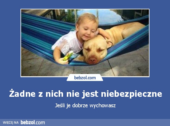 Żadne z nich nie jest niebezpieczne