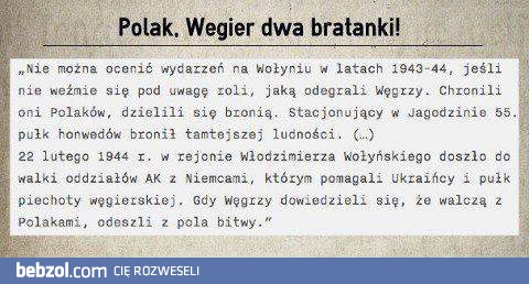 Polak, Węgier dwa bratanki