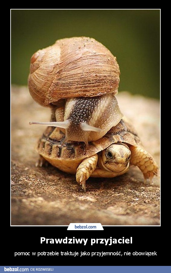 Prawdziwy przyjaciel