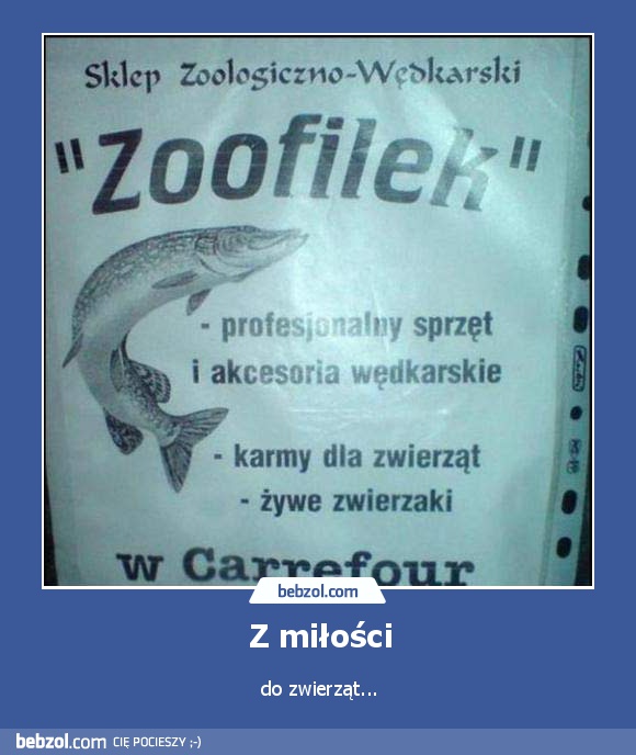 Z miłości
