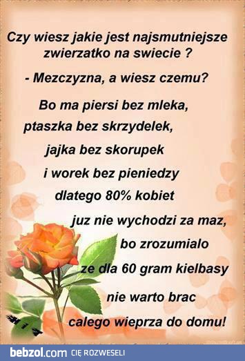 Najsmutniejsze zwierzątko na świecie