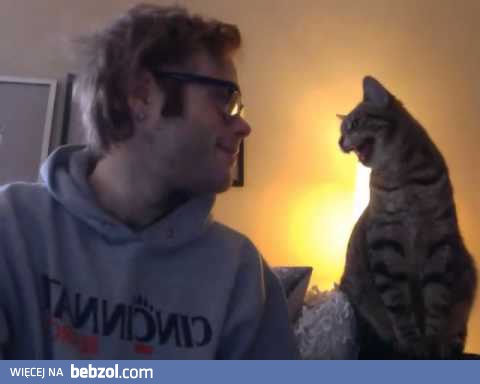 Porozumienie z kotem