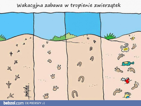 Wakacyjna zabawa w tropienie zwierzątek