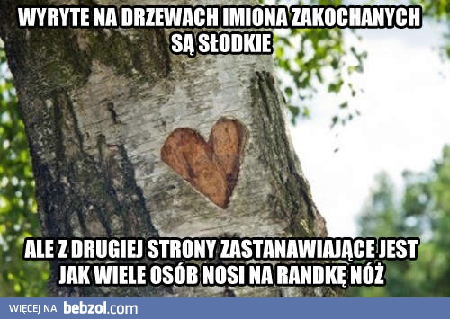 Wyryte w drzewie serca...
