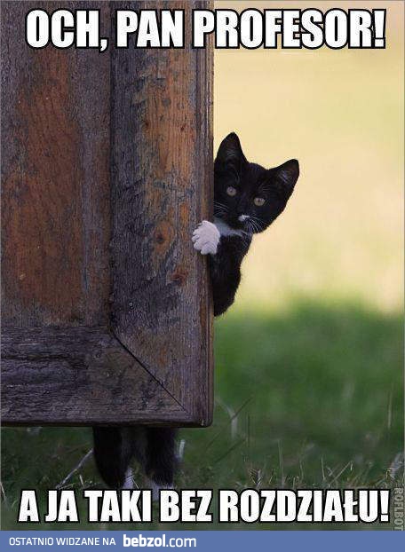 Och, Pani Profesor!