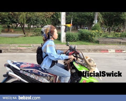 Tajlandia - kobieta z ptaszkiem