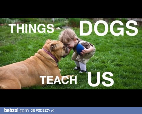 Uczmy się od psów!
