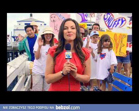 Powrót foki do oceanu