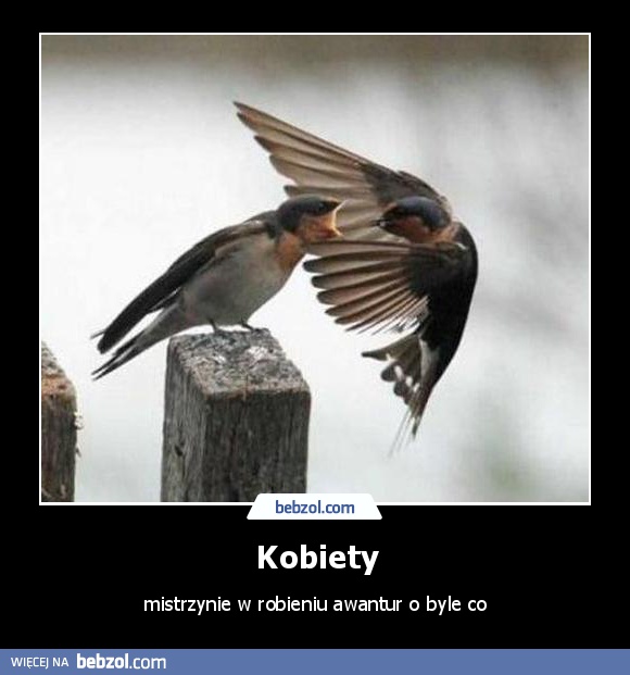 Kobiety
