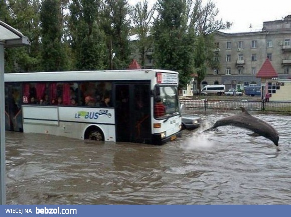 Po ulewie w mieście