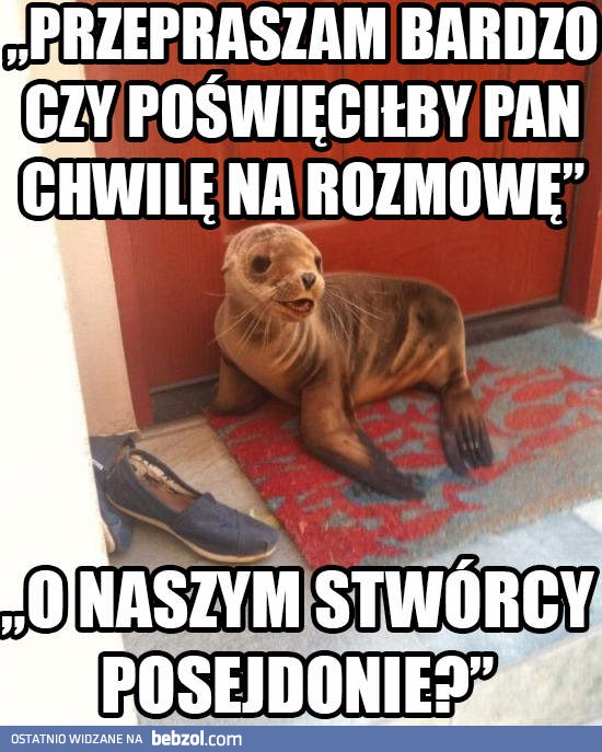 Przepraszam bardzo...
