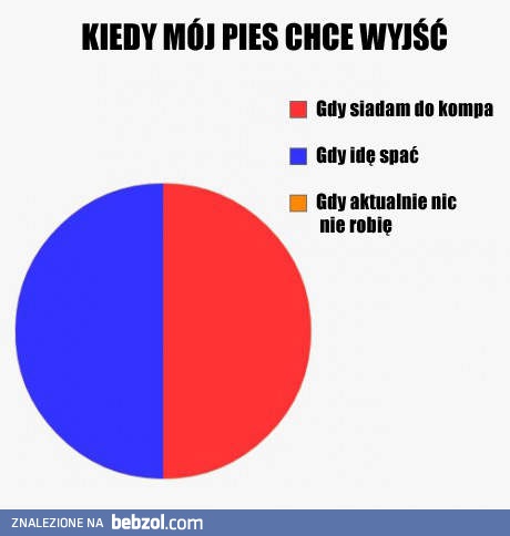 Kiedy mój pies chce wyjść