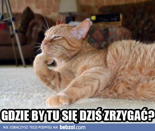 Gdzie by tu dziś...