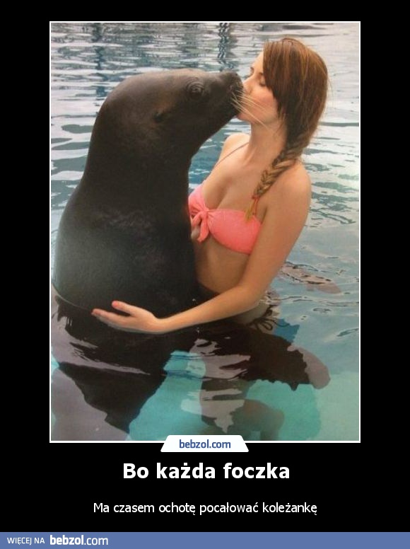 Bo każda foczka