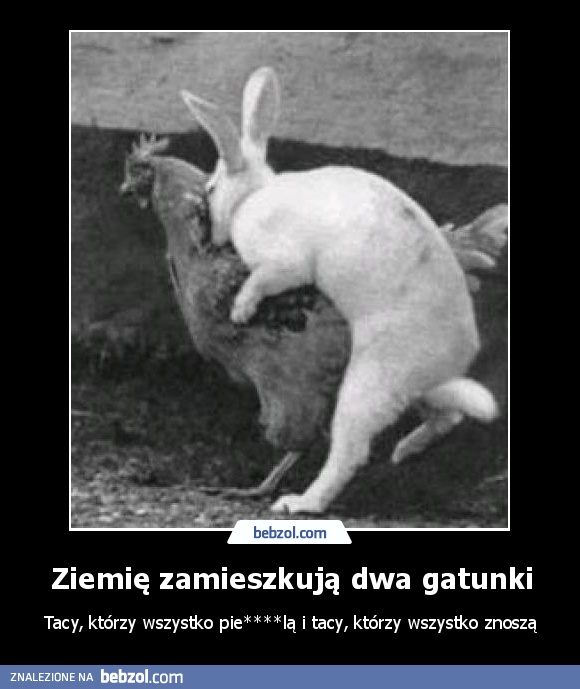 Ziemię zamieszkują dwa gatunki