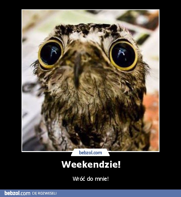 Weekendzie!