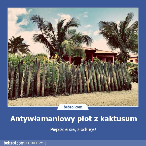 Antywłamaniowy płot z kaktusum