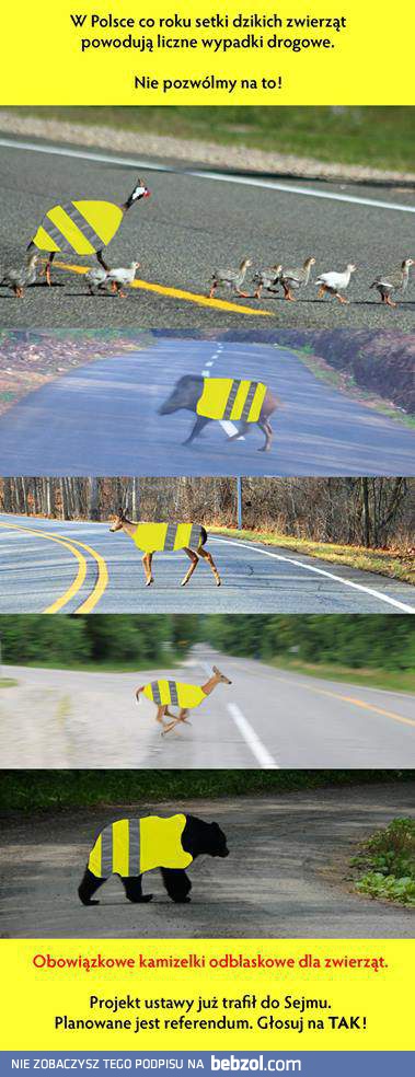 Chrońmy zwierzęta!