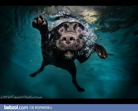 Kolejne porażki z czerwca