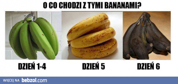 Bananie, dlaczego mi to robisz?