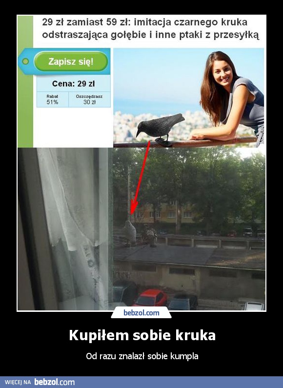 Kupiłem sobie kruka