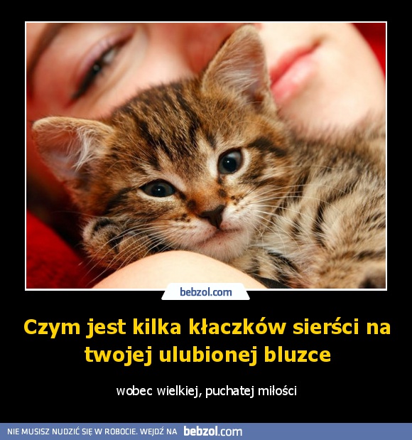 Czym jest kilka kłaczków sierści na twojej ulubionej bluzce