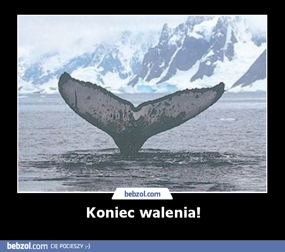 Koniec walenia!