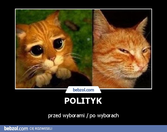 POLITYK 