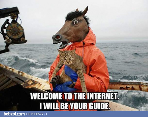 Witaj w internecie, wędrowcze!
