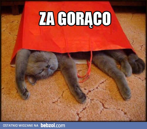 Upał mnie wykończy