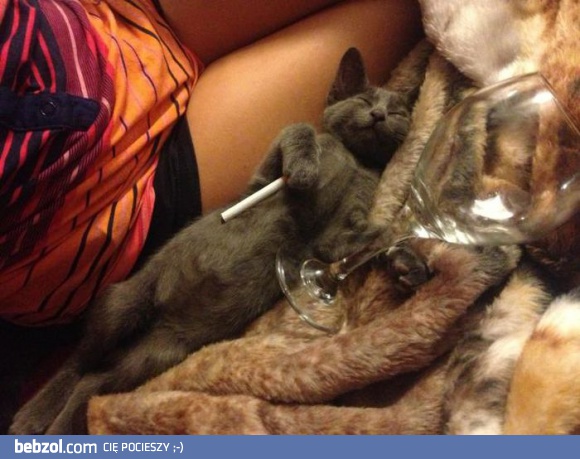 To była szalona noc!