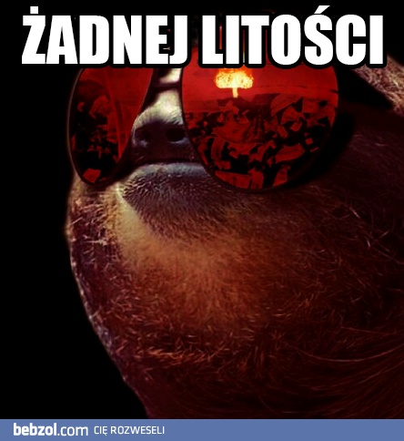 Leniwce nie znają litości
