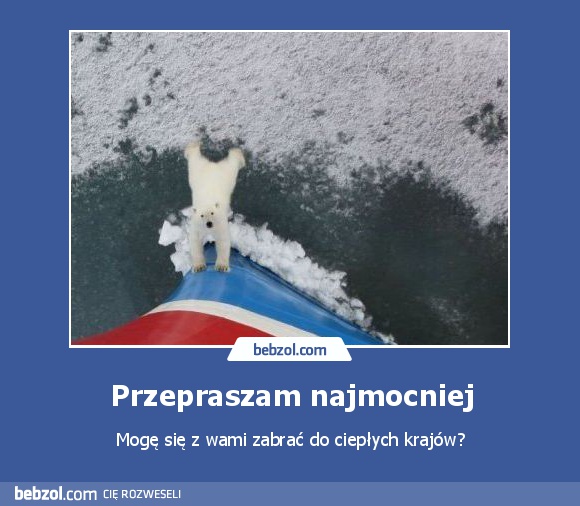 Przepraszam najmocniej