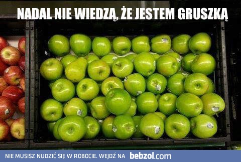 Mistrzyni kamuflażu