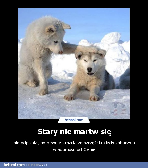 Stary nie martw się