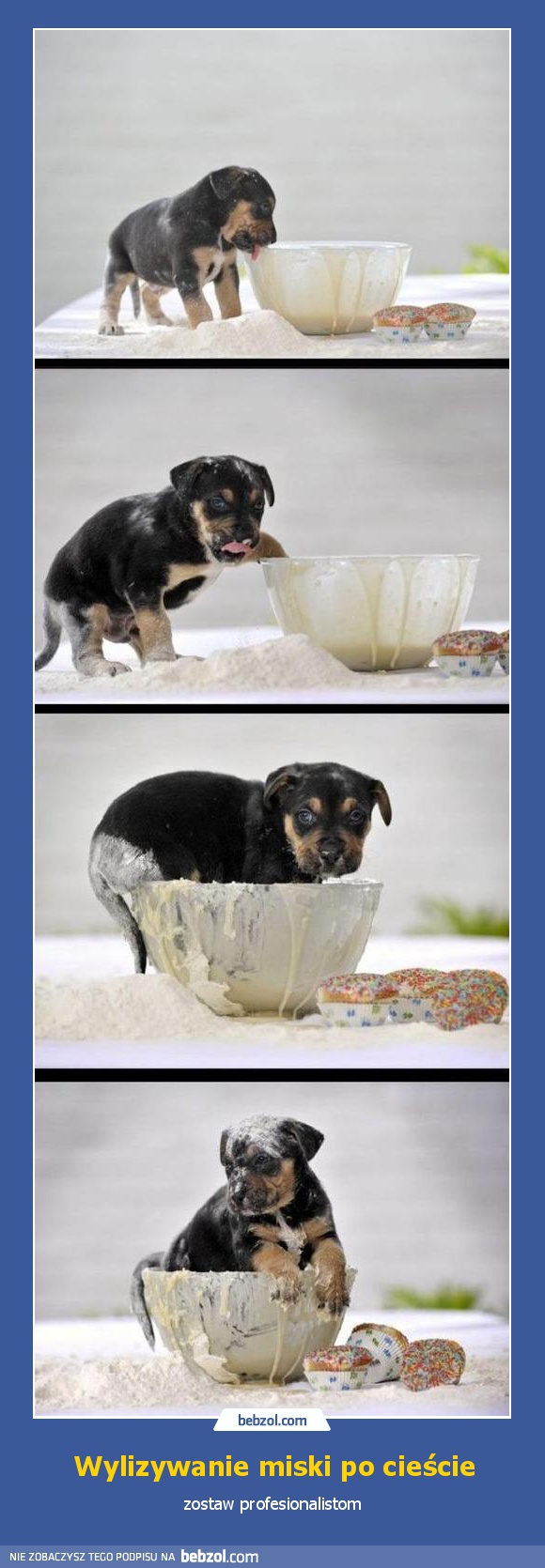 Wylizywanie miski po cieście