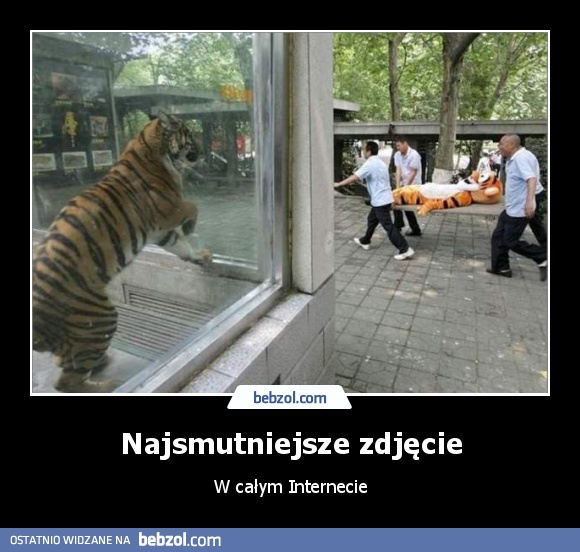 Najsmutniejsze zdjęcie