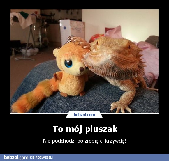 To mój pluszak