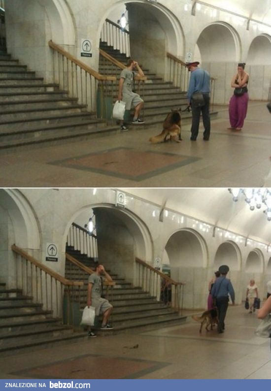 Strażnik porządku przy pracy