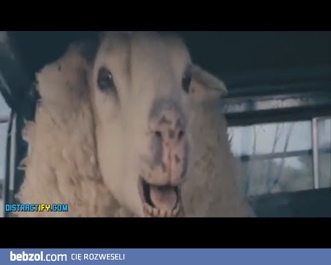 Najgłupsze filmowe sceny śmierci