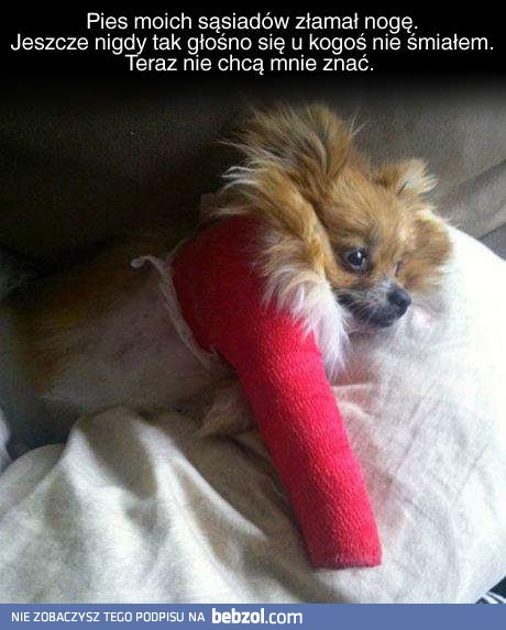 Nie wiem czemu się obrazili