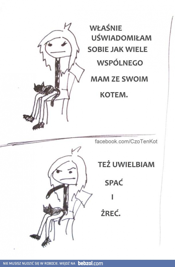 Mam tyle wspólnego ze swoim kotem