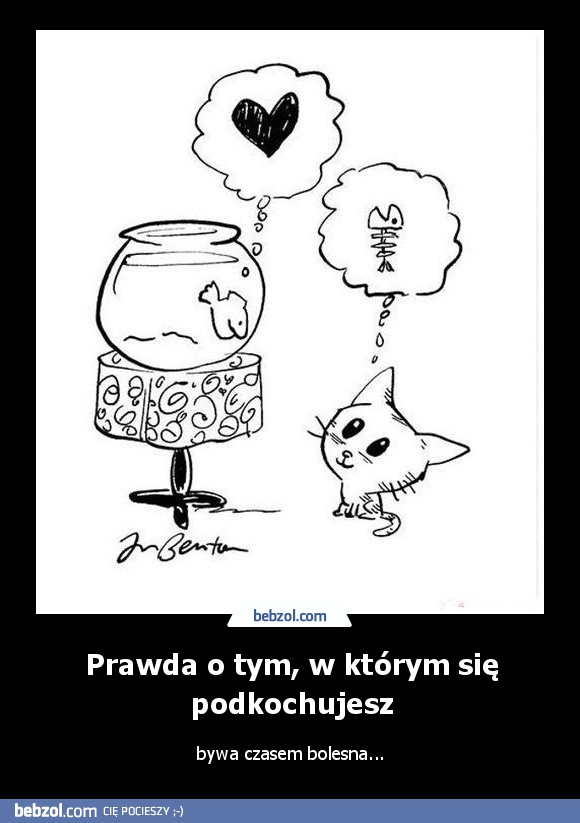 Prawda o tym, w którym się podkochujesz