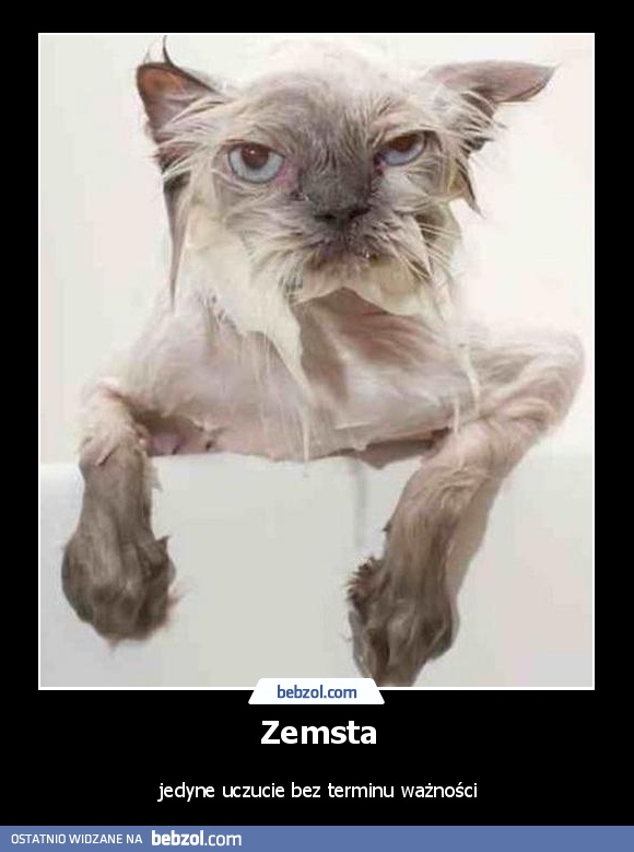 Zemsta