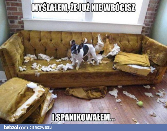 Myślałem, że już nie wrócisz!