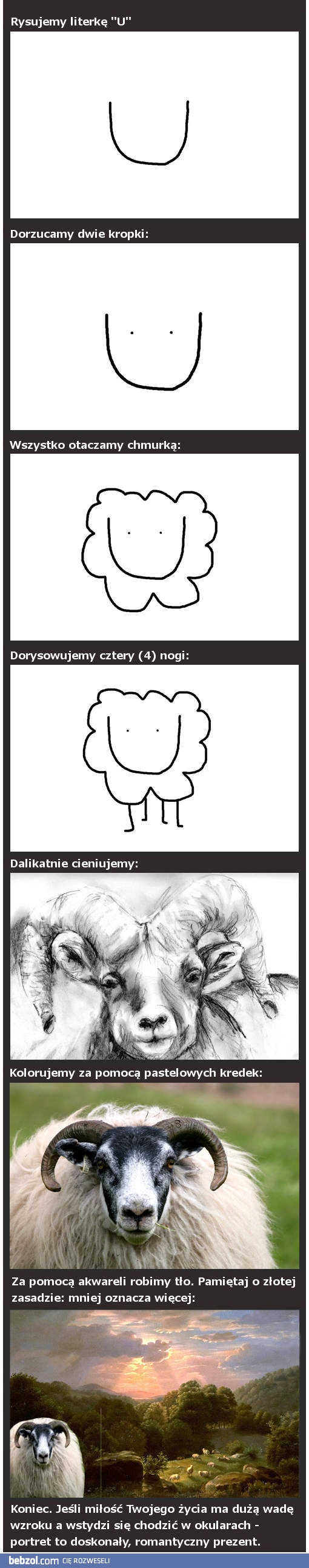 Jak narysować owcę - poradnik