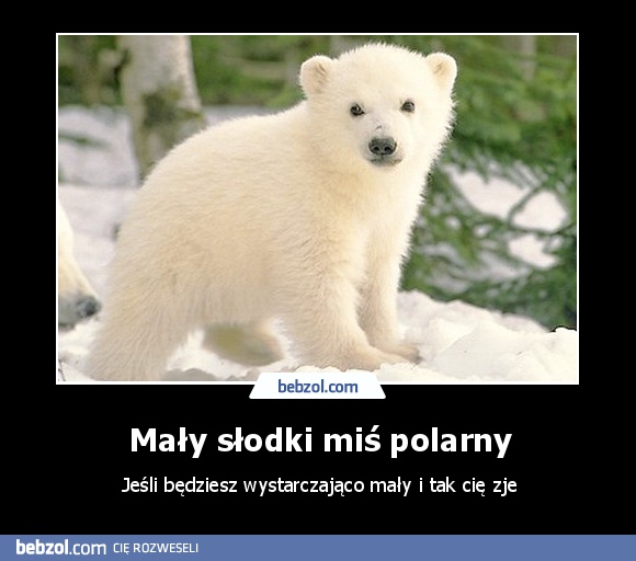 Mały słodki miś polarny