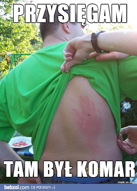 Tam był komar!